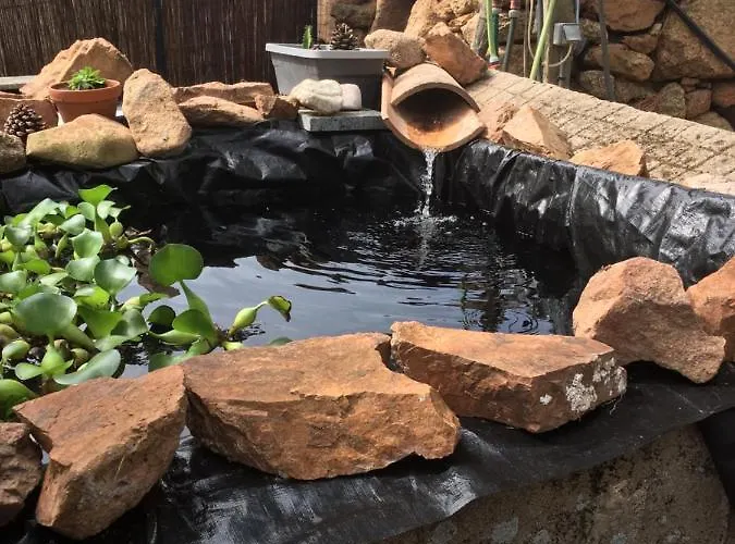 Caseddu Di Chjarastella フィガリ