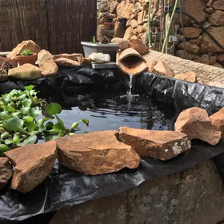 Caseddu Di Chjarastella Figari (Corsica)