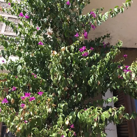 Bed & Breakfast Caseddu Di Chjarastella 4*